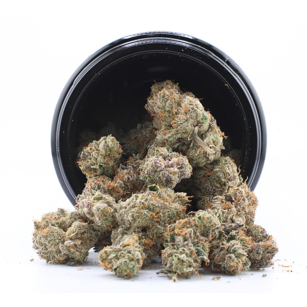 Freeze Cup | THCa Flower | TEG | Reserve Batch - Image 3