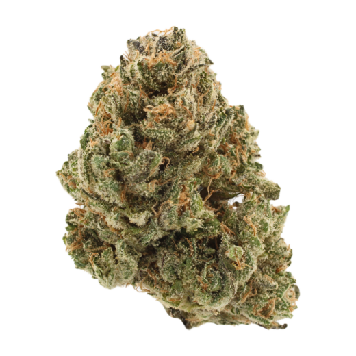 Britney's Frozen Lemons #5 | THCa Flower | Tier 1