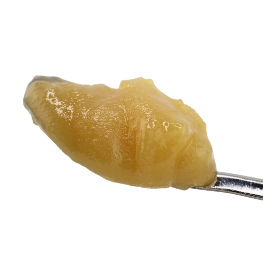 Lemon Cherry Gelato | Live Resin | Badder
